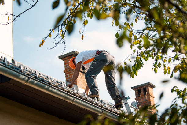 Best Commercial Roofing Services  in Freemansburg, PA