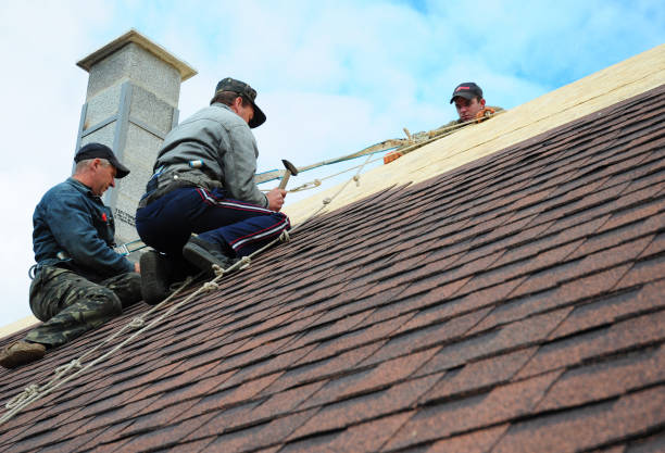Best Best Roofing Contractors  in Freemansburg, PA