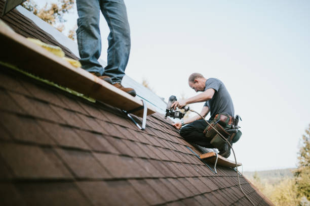Best Roof Gutter Cleaning  in Freemansburg, PA